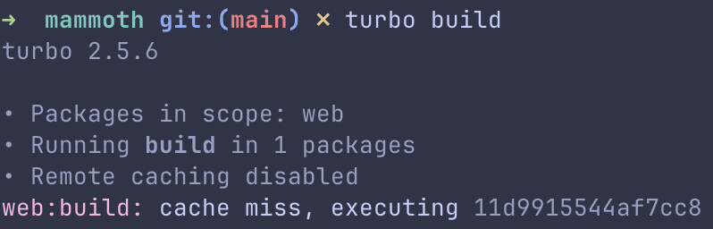 Terminal output showing Turborepo cache miss with 'MISS' status for the web:build task