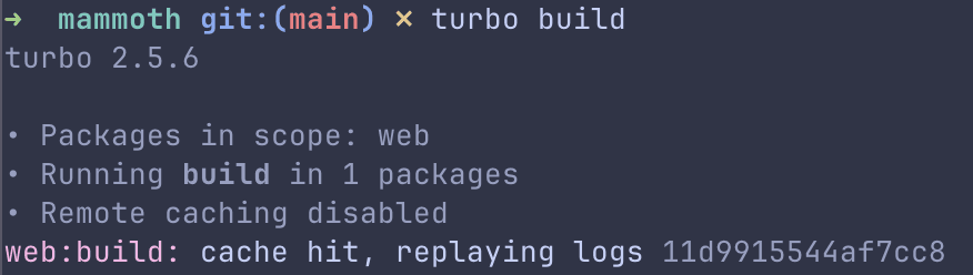 Terminal output showing Turborepo cache hit with 'HIT' status for the web:build task