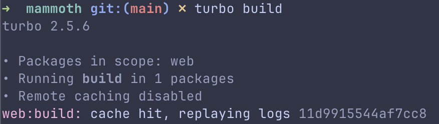 Terminal output showing Turborepo cache hit with &lsquo;HIT&rsquo; status for the web:build task