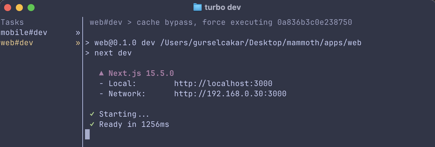 Turborepo TUI showing Next.js web development server logs with local and network URLs